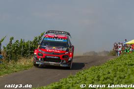 WP 19 - Bild Nr. 9687