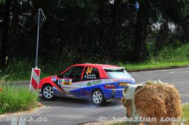 WP 11 - Bild Nr. 094