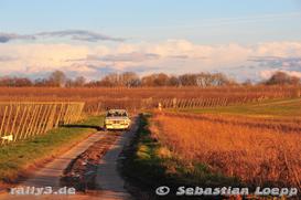 WP 5 RRS - Bild Nr. 001