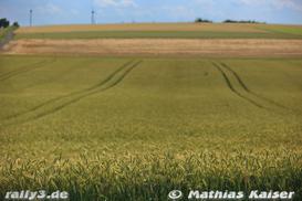 Test Dienstweiler & Kronweiler - Bild Nr. 054