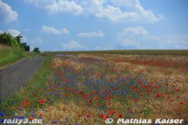 Test Dienstweiler & Kronweiler - Bild Nr. 055