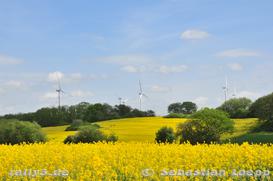 WP 1 RRS - Bild Nr. 058