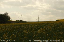 WP 3 - Bild Nr. 00100123