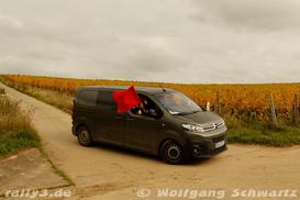 WP 1 - Bild Nr. 00100003