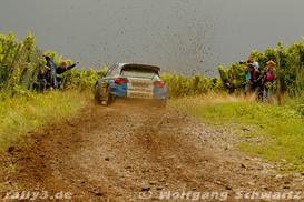 WP 8 - Bild Nr. 00100026