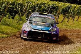 WP 8 - Bild Nr. 00100027