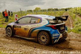 WP 8 - Bild Nr. 00100028