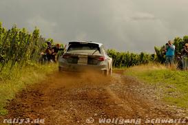 WP 8 - Bild Nr. 00100054