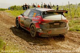 WP 8 - Bild Nr. 00100056