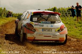 WP 8 - Bild Nr. 00100059