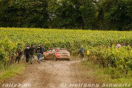 WP 12 - Bild Nr. 00100058
