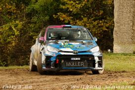 WP 2 - Bild Nr. 00100071