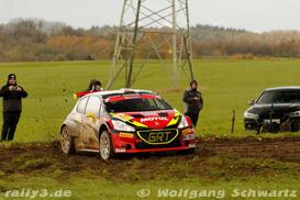 WP 2 - Bild Nr. 00100095