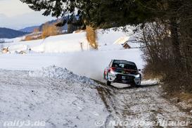 WP11 - Bild Nr. 1561