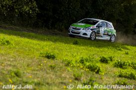 WP5 - Bild Nr. 0929