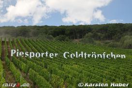 WP 5 - Bild Nr. 167