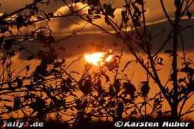 WP 1 DRM - Bild Nr. 004